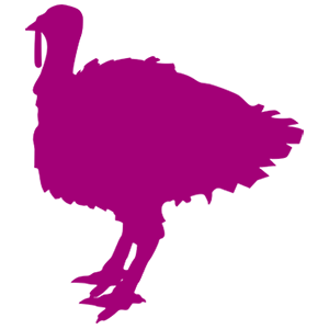 Turkey Wing Whole – Goffle Road Poultry Farm