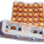 Extra Large Brown Eggs
