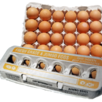 Jumbo Brown Eggs