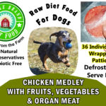 Chicken Medley with Fruits, Vegetables and Organ Meat - Dog Food